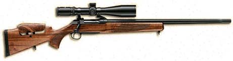 Sauer S 202 Wolverine